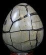 Septarian Dragon Egg Geode - Black Calcite Crystals #33992-3